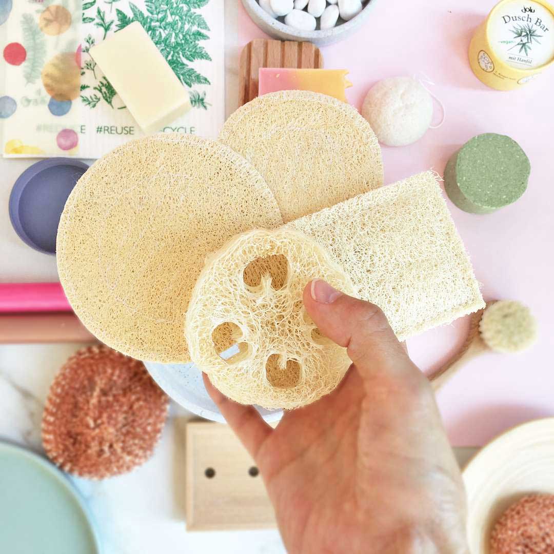 luffa schwamm küche anwendung