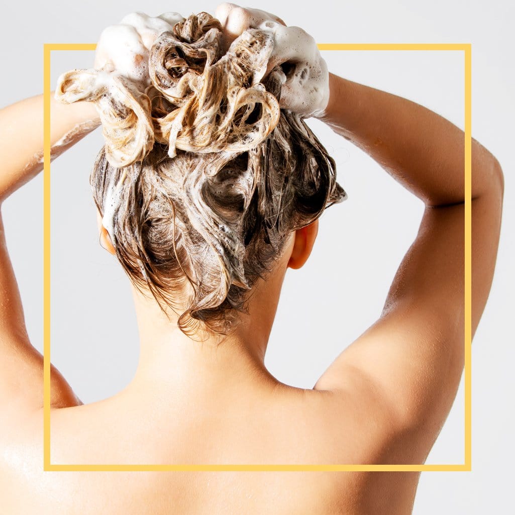 shampoo pulver puremetics shampoo zum anrühren vegan