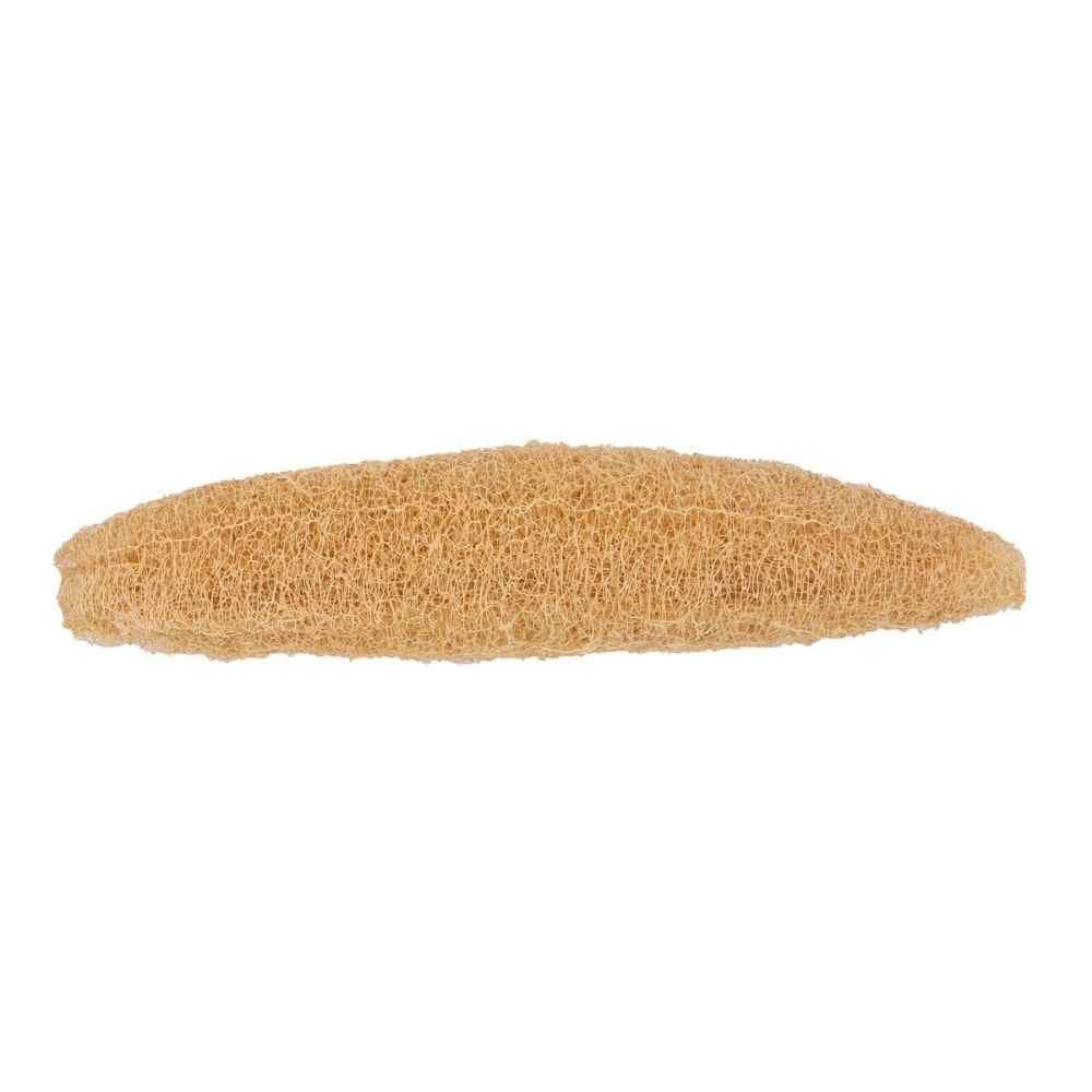 luffagurke luffaschwamm luffa
