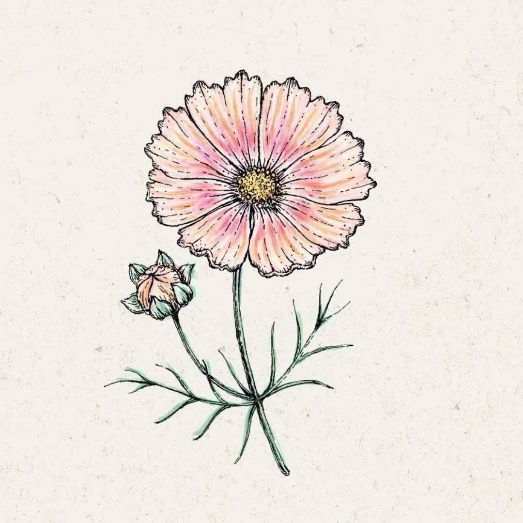 nachhaltige-geschenke-jora-dahl-blumensamen