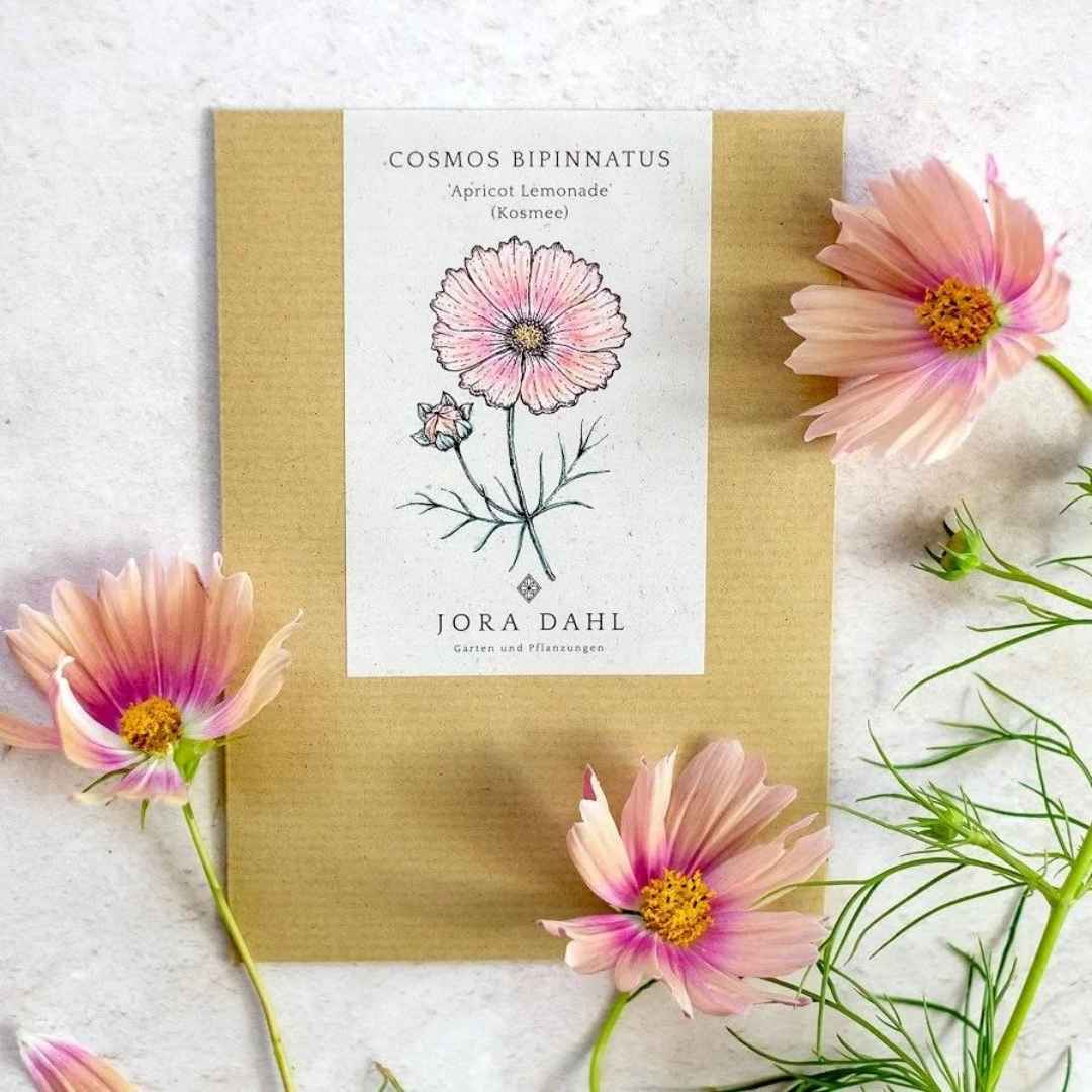 nachhaltige-geschenke-jora-dahl-blumensamen