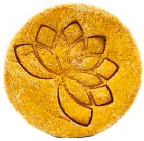 nelumbo-festes-shampoo-plastikfrei-orange