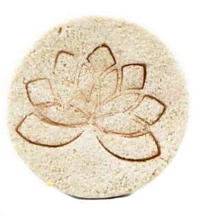 nelumbo-festes-shampoo-plastikfrei-pur