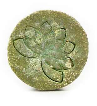 nelumbo-festes-shampoo-plastikfrei-minze